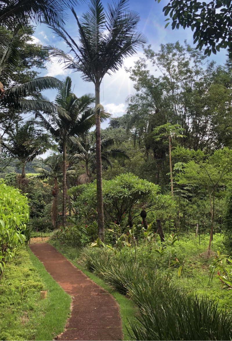 Jardim botânico